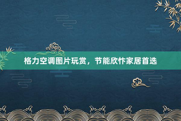格力空调图片玩赏，节能欣忭家居首选