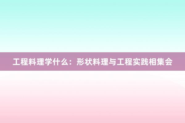 工程料理学什么：形状料理与工程实践相集会